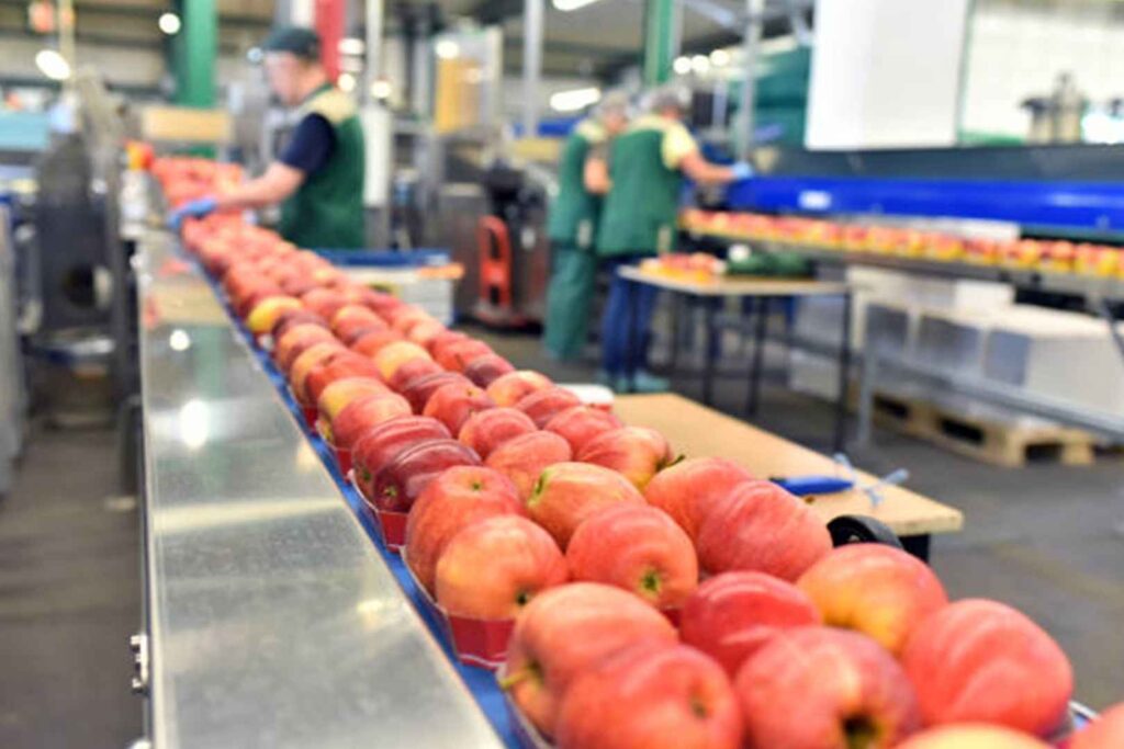production line
