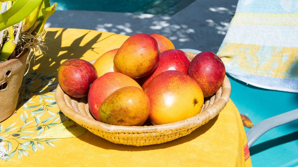 mango