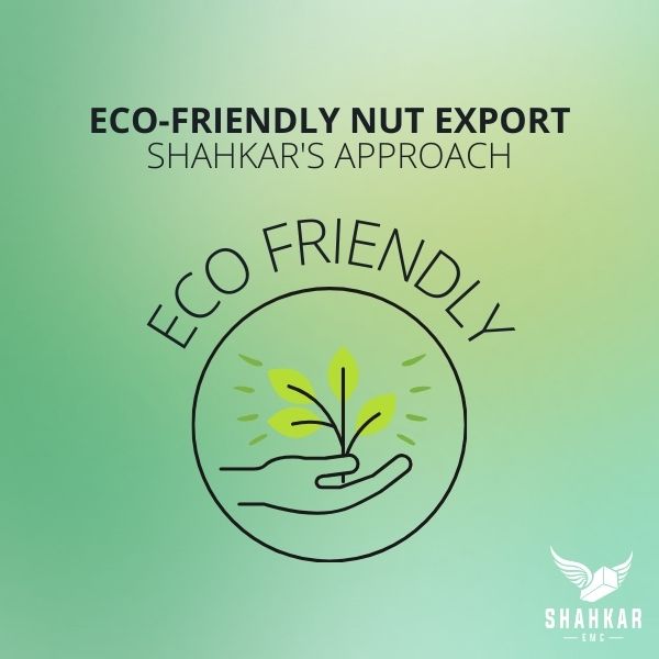 Eco-Friendly Nut Export: Shahkar's Approach