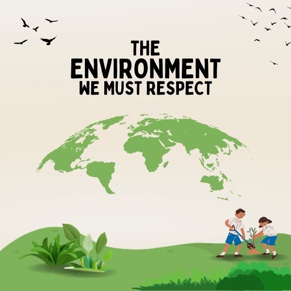 Eco-Friendly Nut Export: Shahkar's Approach