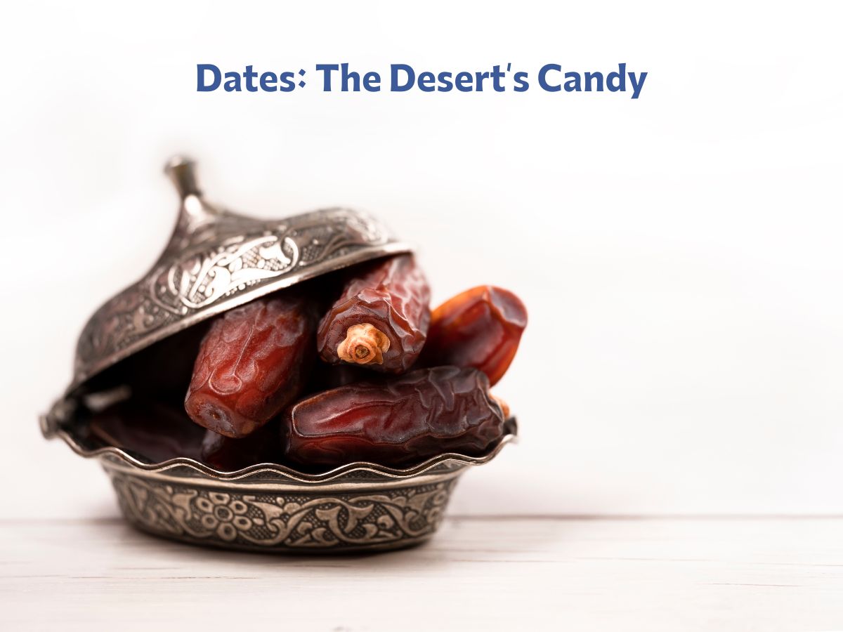 Best Dried Fruits for Hot Climates