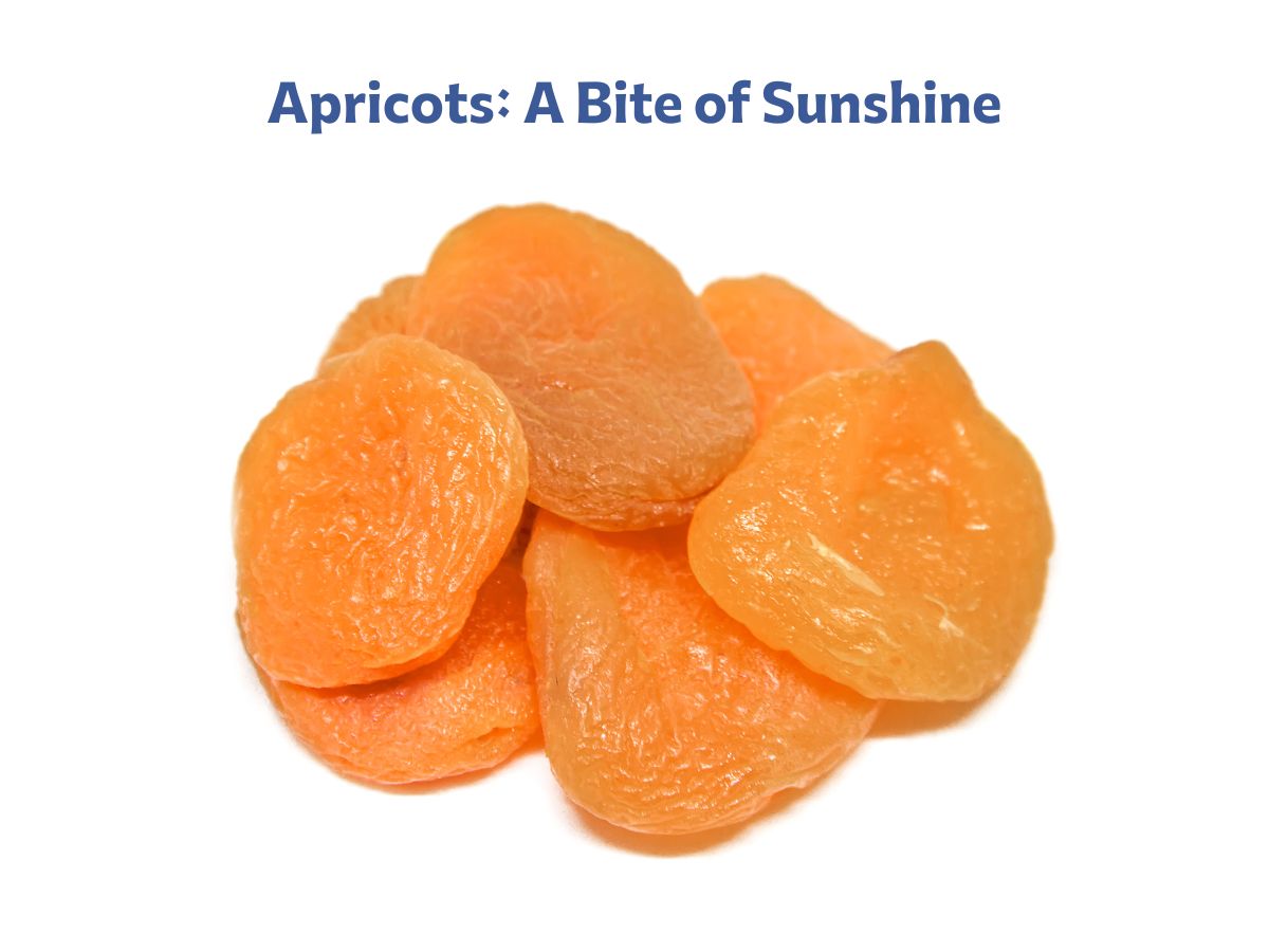 Best Dried Fruits for Hot Climates