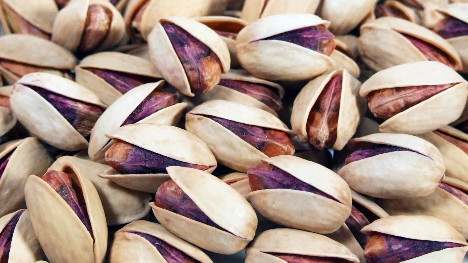 types of pistachios Akbari-Pistachio