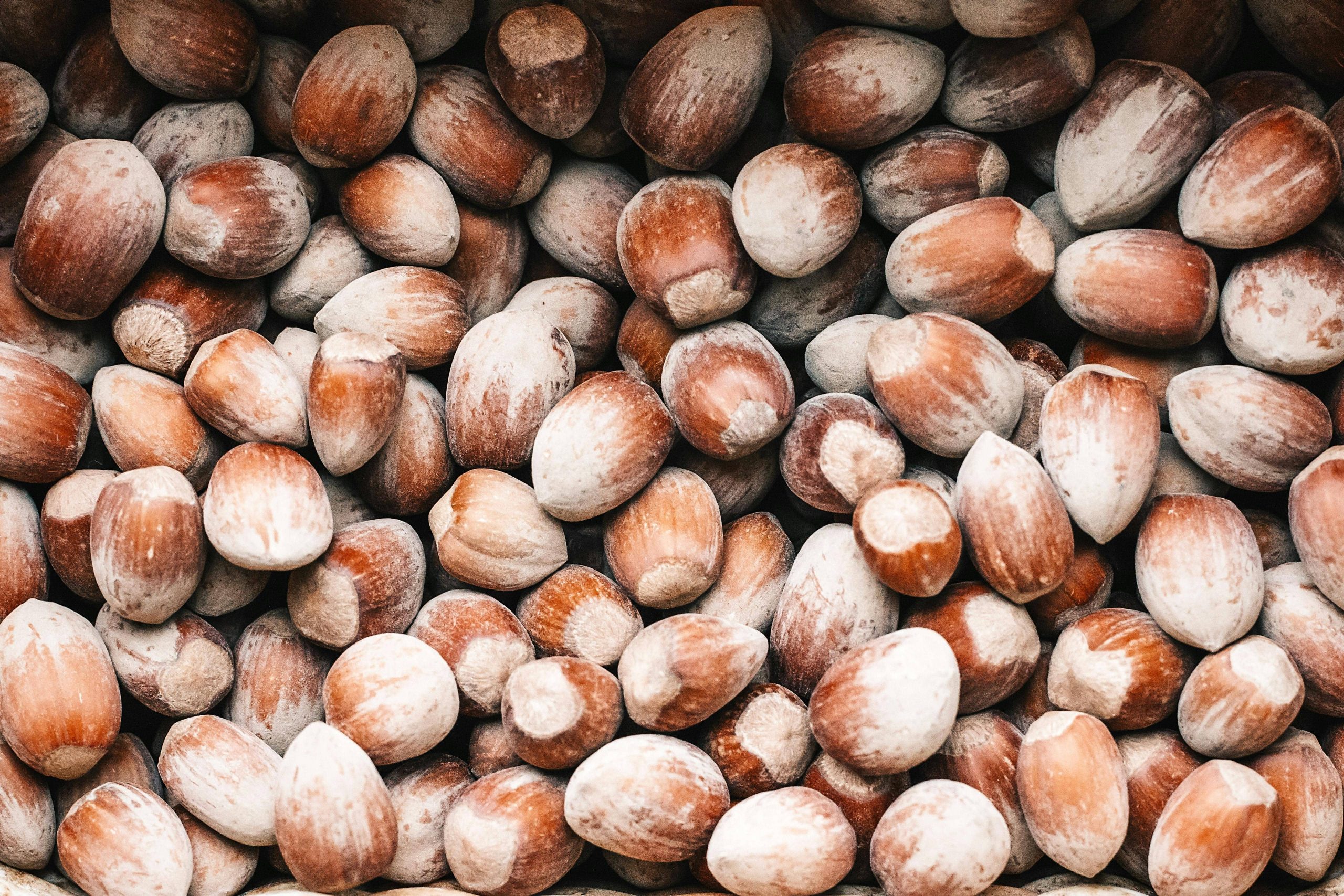 Advantages and Disadvantages of Hazelnuts