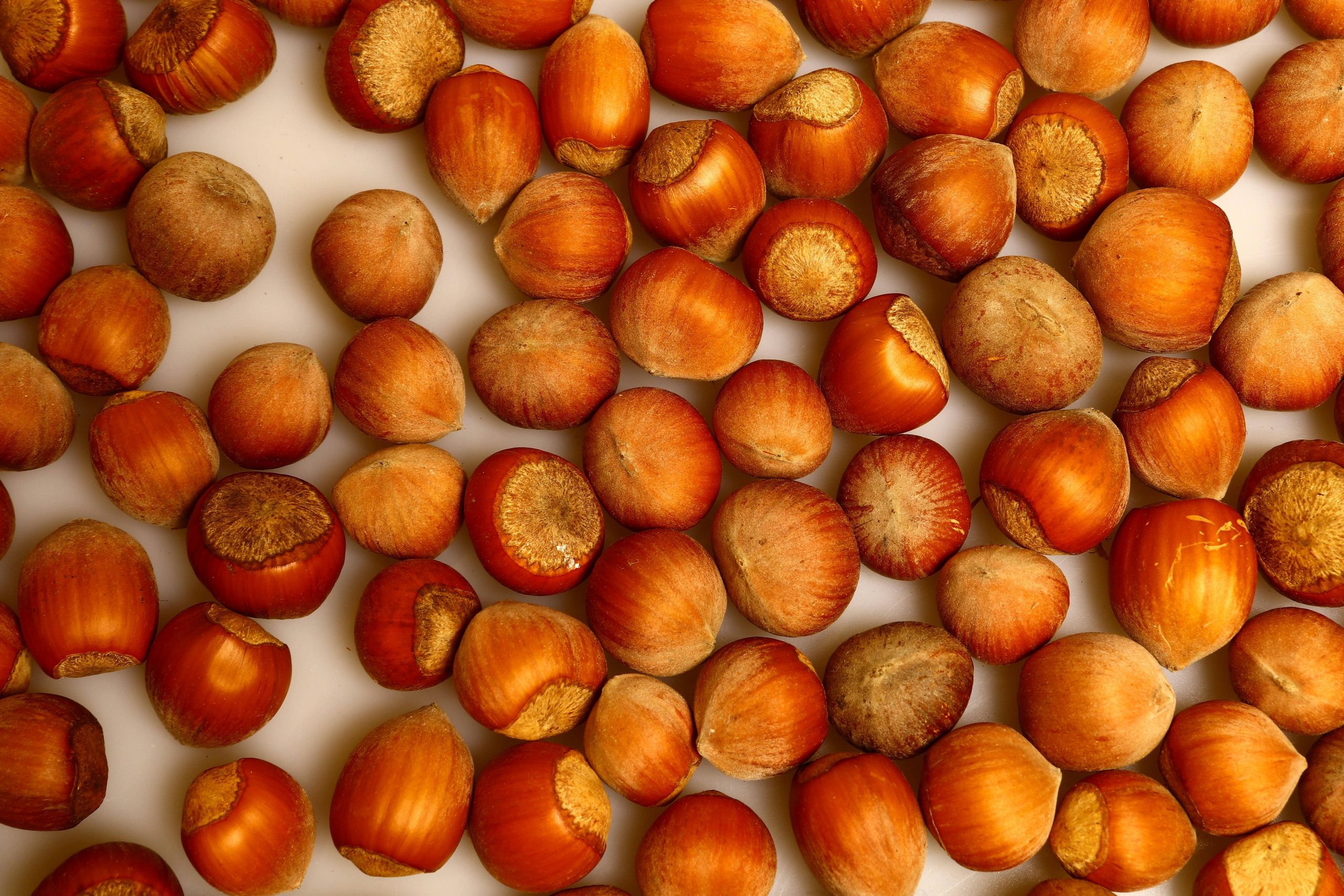 Advantages and Disadvantages of Hazelnuts