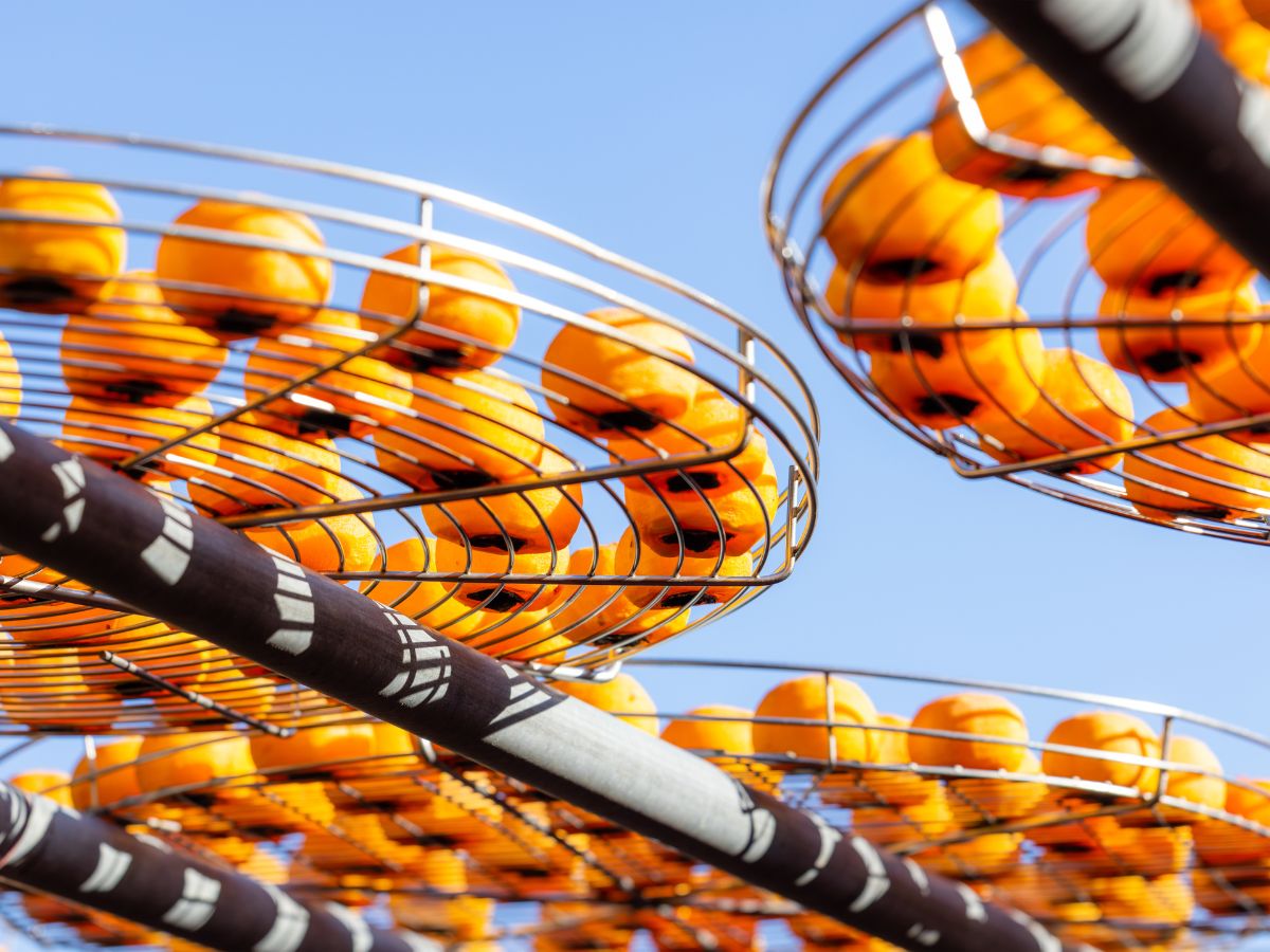 Health Benefits of Dried Persimmons