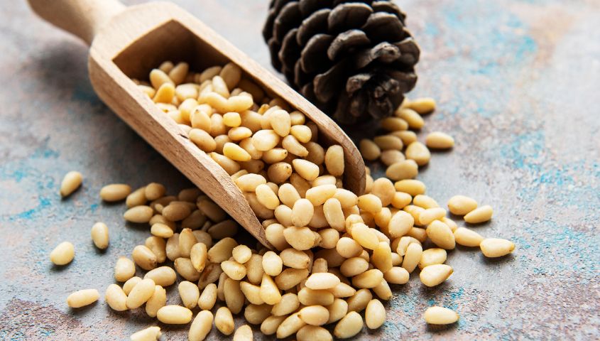 pine nut allergies